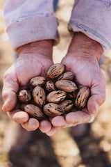 Pecan Oil - 100% Cold Pressed -  750ml