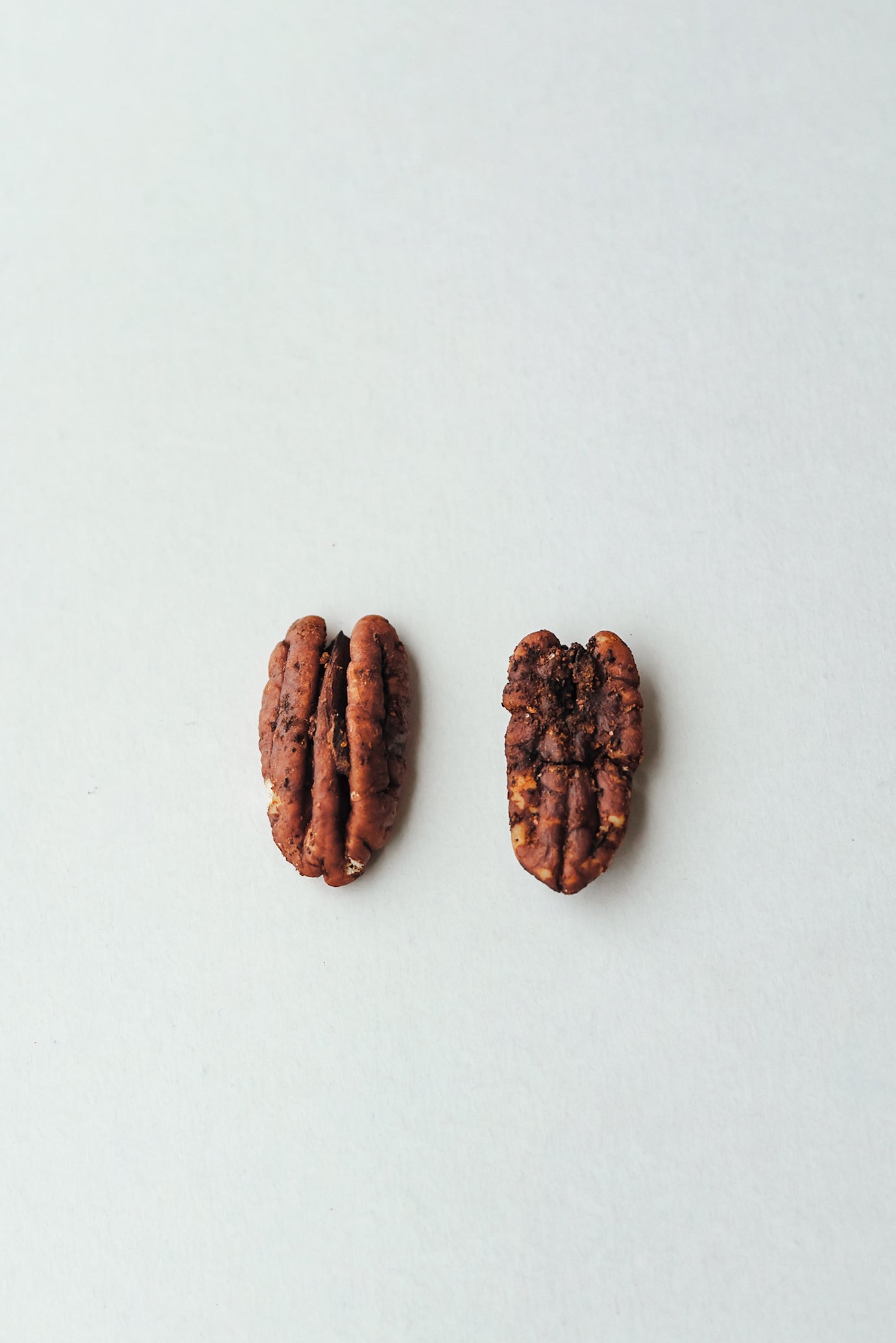 Two pecans on a light gray background Blue Mountain Pecans 